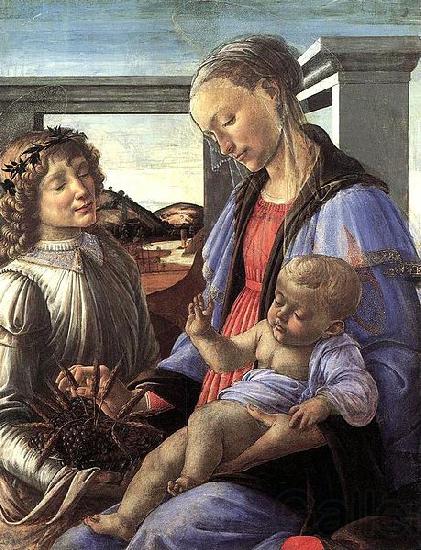 Sandro Botticelli Madonna dell'Eucarestia Spain oil painting art